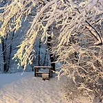 Paradise Wellness - Sauna&spa Lodge *