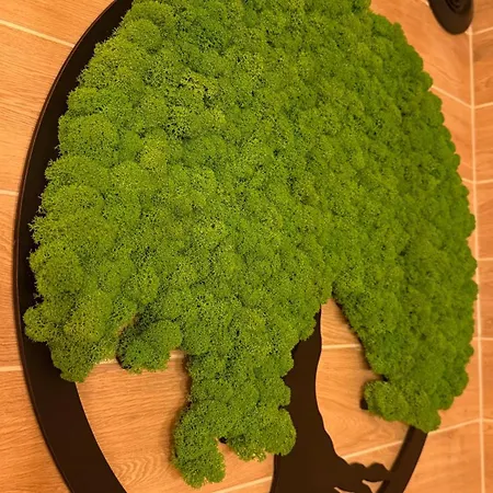 Lodge Paradise Wellness - Sauna&spa