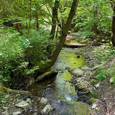 Paradise Wellness - Sauna&spa Lodge