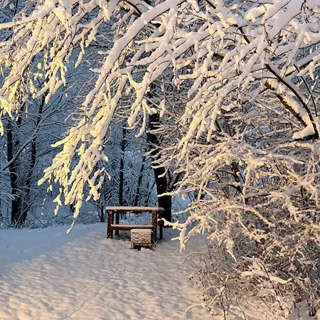 Paradise Wellness - Sauna&spa Lodge *